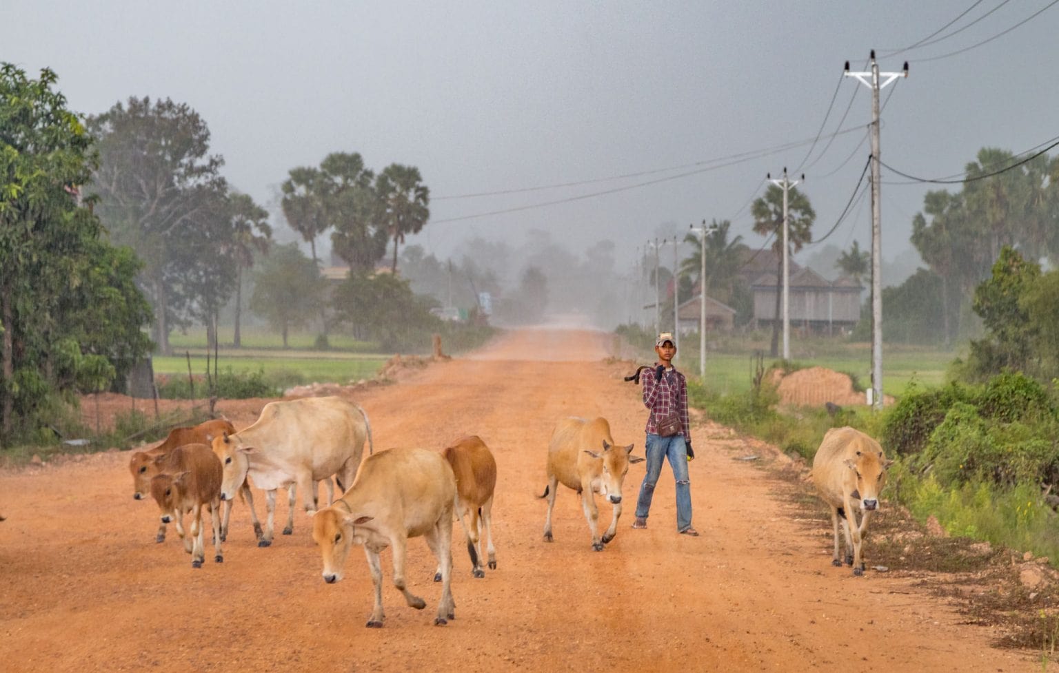 Cambodia Preah Khan De Kompong Svay Day Trip From Siem Reap A Real