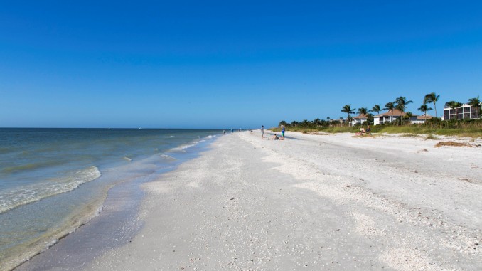 USA - Beautiful white beaches and wildlife at Sanibel Island in Florida ...