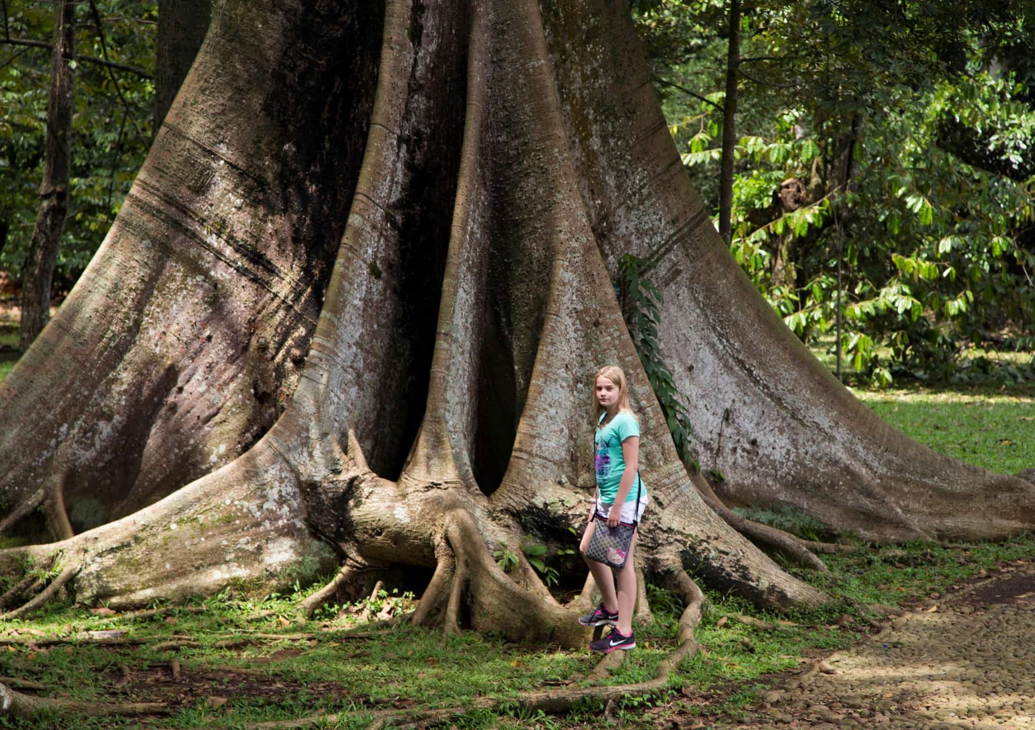 INDONESIA - Visit the Bogor Botanical Gardens as a stop between Jakarta