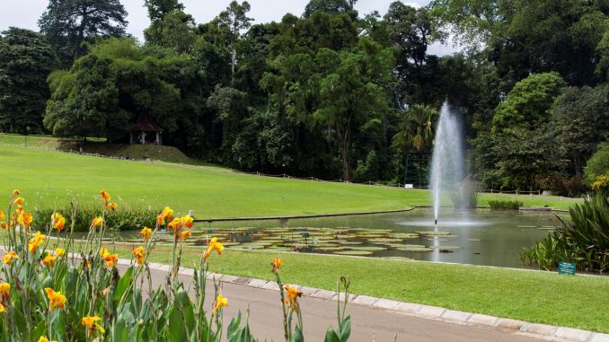  INDONESIA  The Bogor Botanical  Gardens  as a stop between 