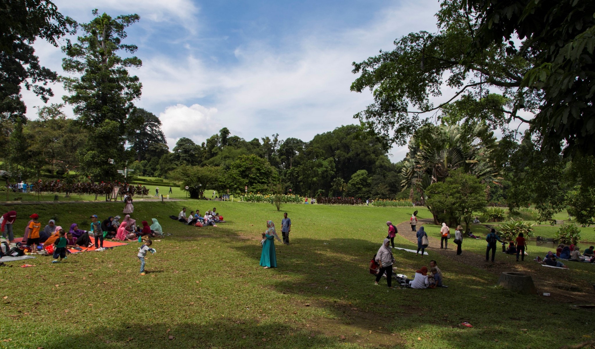 INDONESIA - Visit the Bogor Botanical Gardens as a stop between Jakarta ...