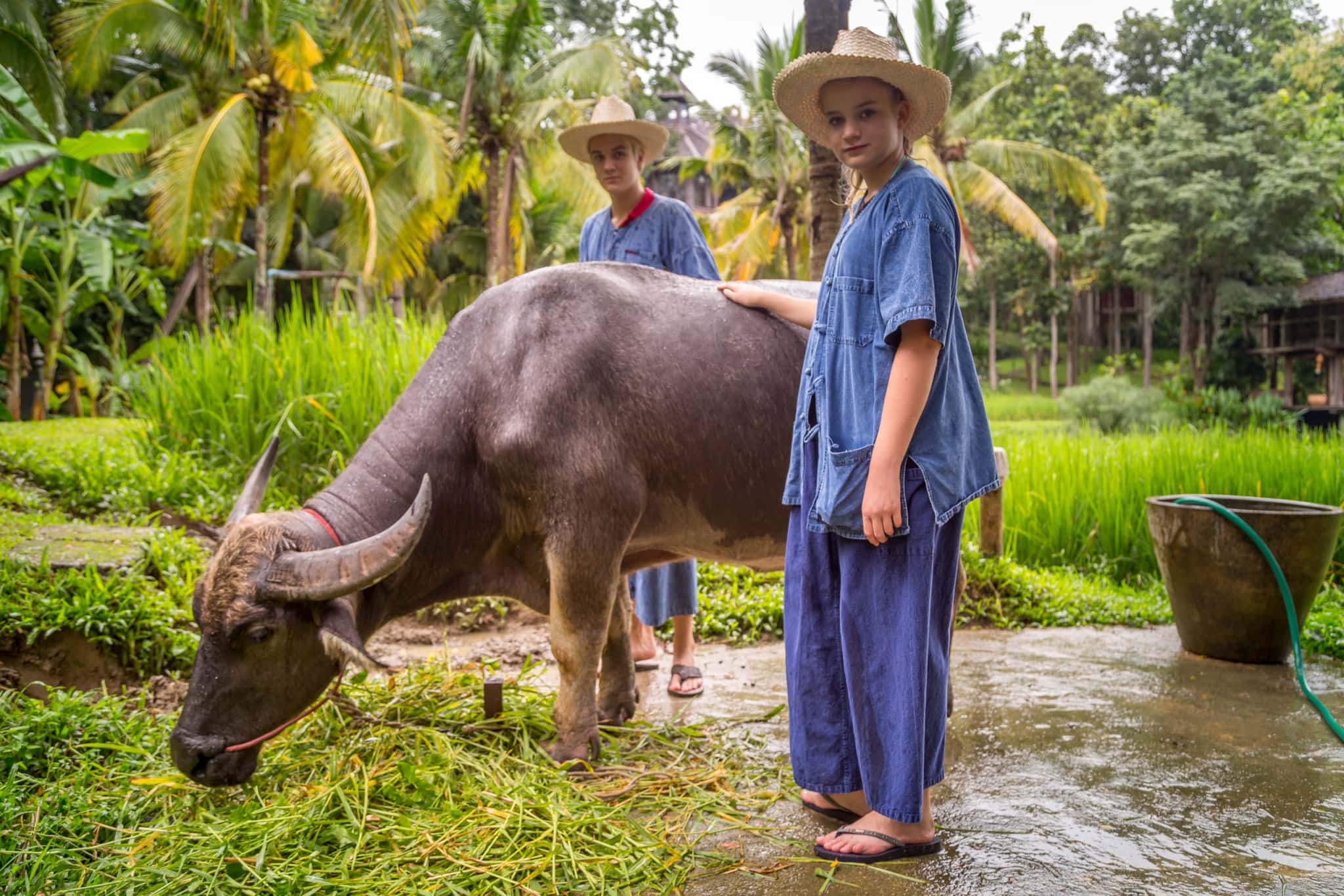 THAILAND - Four Seasons Chiang Mai: A luxury treasure in the Mae Rim ...