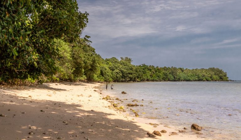 VANUATU - Chief Roi Mata’s Domain tour; must do day trip from Port Vila ...